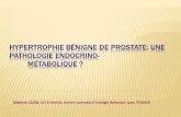 Hypertrophie bénigne de prostate: une pathologie endocrino ...sfms.free.fr/cube/2012-sfms-cuzin2.pdf · recreational physical activity and risk of benign prostatic hyperplasia. Int
