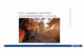Ph.d.-støttetilbud ved NTNU Universitetsbiblioteket –et utvalg€¦ · –Introduksjon til databaser: PubMed, Web ofScience, Scopus, Google Scholar. 13 Utrede mulighet for å tilby