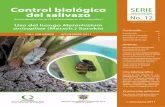 Control biológico SERIE del salivazo No. 12 · 2020-01-15 · mediante el uso de hongos entomopatógenos, nematodos entomo- patógenos y variedades de caña resistentes. También