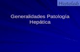 Generalidades Patología Hepáticahistolab.com.co › ... › Generalidades-de-Patologia-Hepatica.pdf · 2018-05-25 · Generalidades Patología Hepática. RESPUESTA DEL HÍGADO A