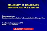 Vyšetření žijícího dárce - transplant · 10/18/2019  · delší doba na dialýze * poz. rodinná anamneza * analgetická nefropatie * získané cysty ledvin . Ca moč.měchýře: