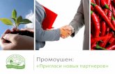 Промоушен - natr.ru · Промоушен: ... «Пригласи новых партнеров» за декабрь 2015 (первый месяц) chernyakova larisa chernykh