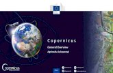 Agnieszka Lukaszczyk - IZM€¦ · 2013 2014 Baveno Manifesto Gothenburg EU Summit GMES – Flagship of EU Space Policy EC - GMES Bureau EC-ESA Agreement on GMES Copernicus Regulation