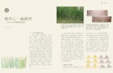 藺草心、編織情 - TAIPOWERdept.taipower.com.tw/yuan/yuan_95/yuan_pdf/95_9.pdf前，大甲及苑裡尚有種植大甲藺草達100多公頃，用來編織帽蓆。如今只剩下由大甲農會及苑裡農