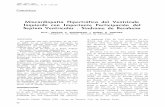 Miocardiopatía Hipertrófica del Izquierdo con I mportante ... · ISSN .0034.7000 . REV. ARG. CARDIOL., 47, Ne 1,62 a 68 Casuística Miocardiopatía Hipertrófica del Ventrículo
