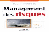 Management des risques - -CUSTOMER VALUE-livre.fun › LIVREF › F34 › F034001.pdf · Management des risques Management du risque.book Page 1 Dimanche, 10. mai 2009 5:53 17
