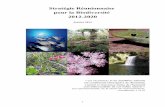 Stratégie Réunionnaise pour la Biodiversité · 2014-04-11 · Stratégie Réunionnaise pour la Biodiversité 2012-2020 Janvier 2014 « Les ressources et les équilibres naturels