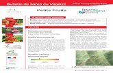 Petits Fruits - DRAAF Auvergne-Rhône-Alpesdraaf.auvergne-rhone-alpes.agriculture.gouv.fr/IMG/pdf/BSV_petits... · Bulletin de Santé du Végétal Edition Auvergne-Rhône-Alpes n