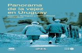 Panorama En Uruguay, los adultos mayores se encuentran en ...Panorama de la vejez en Uruguay Federico Rodríguez y Cecilia Rossel Coordinadores Panorama de la vejez en Uruguay En Uruguay,