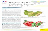 Région de Bourgogne- Franche-Comté Portrait et chiffres-clésbourgogne-franche-comte.drdjscs.gouv.fr/sites/bourgogne... · 2018-05-30 · La Bourgogne-Franche-Comté comprend 2