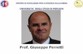 Prof.GiuseppePerre& ONAB 10... · DeﬁnizioneLegislavaItaliana& La& birra& è& un& prodoo& oenuto& dalla& fermentazione& alcolica& con& ceppi& di& Saccharomycescarlsbergensis o Saccharomyces