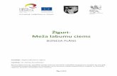Žīguri Meža labumu ciems - Latgales plānošanas …...Pagastā ir realizēti projekti siltumapgādes sistēmas modernizācija (2004-2009), pirmsskolas izglītības iestādes „Lācītis”