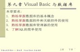 第九章Visual Basic 与数据库read.pudn.com › downloads163 › ebook › 740562 › vb › VB(pdf) › 第九...3 可视化程序设计——第九章 Visual Basic 与数据库