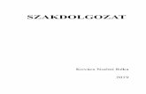 SZAKDOLGOZAT - Pécsi Tudományegyetemaok.pte.hu/docs/gyogyegy/file/Kovacs_Noemi_Reka... · 3 1. ábra Gyógyászati szektor részesedése a reklámköltségből 2017-ben (Forrás: