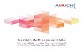 Gestión de Riesgo en Chile - Amuch | Asociación de Municipalidades de Chile › pdf › estudio_gestion_del_riesgo_en_chile.pdf · 2016-04-07 · riesgosos, lo que deriva entonces
