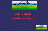 Blue Tongue profilassi diretta - Sardegna Agricoltura...La blue tongue si diffonde a causa di un insetto chiamato Culicoides Intervenendo sulla profilassi diretta “Un Culicoides