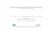 Repositorio | FAUBA | Paredes 'Caracterizacion funcional ... › download › pdf › 144233389.pdf · Caracterización funcional de la Estepa Magallánica y su transición a Matorral