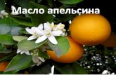 Масло апельсина - vivasan-ukraine.com.ua · Витамин А - 0.05 мг Витамин В1 (тиамин) - 0.04 мг Витамин В2 (рибофлавин) - 0.03