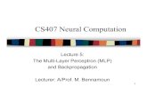 CS407 Neural Computation · 2004-09-03 · The first layer, termed input layer, just contains the input vector and does not perform any computations. The second layer, termed hidden