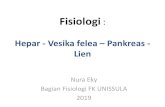 Fisiologi : Hepar Vesika felea Lien Pankreas · 2019-03-22 · backpressure di hepar hepar membesar dan bisa terisi 0.5 -1 L tambahan darah •Pori-pori sinusoid hepar sangat permeabel