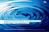 Sammendragsrapport DEEPWATER HORIZON · 2017-10-18 · t National Academy of Engineering: Macondo Well Deepwater Horizon Blowout. Dec 2011 Selv om rapporten tar for seg forbedringer