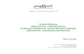 Application Software and Monitoring Tools › manuali › english › InterSism.pdf · 2018-07-23 · Application Software and Monitoring Tools . InterSism Seismic refraction interpretation