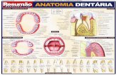 Anatomia Dentáriae3o-Anatom… · Frontal MÚSCULOS DA CABEÇA Depressor Levantador da Gálea aponeurótica Frontal Resumäo OSSOS DA CABEÇA Forame supra-orbital Parietal parietal