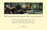 Waldpädagogik-Konzeption - ForstBW · Baden-Württemberg (Forstreformgesetz) beschlossen, welches den gesetzlichen Rahmen für die künftige Forstorganisation und die Waldpädagogik