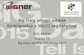 Big Data és a WLCG - Magyar Fizikushallgatók Egyesületetisk.mafihe.hu/wp-content/uploads/2014/12/HA_TISK_BigDataWLCG.… · Manager, aminek sokféle implementációja létezik,