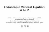 Endoscopic Variceal Ligation: A to Z · The issue for measuring the varix size F1: small-caliber varices, not disappear with insufflation. F2: Moderately enlarged, beady varices,