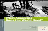 What Amazonia Does the World Need? · What Amazonia Does the World Need? What Amazonia Does the World Need? History is marked with cities, regions, and territories that have played