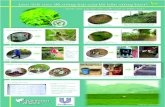 Làm thế nào để nông trại của tôi bền vững hơn › Vietnam Tea poster... · Làm thế nào để nông trại của tôi bền vững hơn? - dành cho các hộ