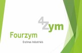 Apresentação do PowerPoint - Green Rio · Modelo de negócios 4 Zym Venda de enzimas para a indústria têxtil Biopolimento Sem tratamento Enzima de referência no mercado Enzima