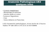 Anatomie Pathologique-UE3 quelques infos · 2019-10-01 · Anatomie Pathologique-UE3 quelques infos • 5 cours magistraux - Œsophage et estomac -Intestin grêle et colon -Tumeurs