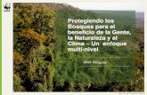 Protegiendo los Bosques para el beneficio de la Gente, la ...d2ouvy59p0dg6k.cloudfront.net/downloads/l_aquino...nivel_paraguay… · • ONU REDD (UN-REDD) • Paraguay fue invitado