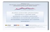 Analýza potenciálu přeshraniční spolupráce v polské ... · spolupráce česko-polského pohraničí” uskutečňovaného v rámci Operačního programu přeshraniční spolupráce