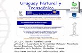 Uruguay Natural y Transgénico - IIBCE IIBCE_CMD.pdfØ Aquel al cual se le han realizado cambios genéticos, modificando o insertando uno o varios genes mediante tecnología de ADN