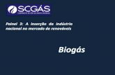 Projetos de Biogas - Instituto Ideal€¦ · Slide11/13 •Realização de políticas de apoio para a cadeia do biogás •Utilização de biogás como estímulo x obrigação legal?