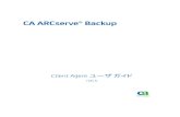 CA ARCserve® Backup ARCserve Backup...CA ARCserve® Backup for Linux Enterprise Option for SAP R/3 for Oracle CA ARCserve® Backup for Microsoft Windows Essential Business Server