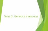 Tema 3: Genética molecular - WordPress.com...La unidad básica de los ácidos nucleicos son los nucleótidos. Los nucleótidos Están compuestos por las siguientes moléculas: 1.