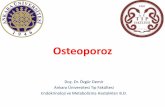 Pre/Post Menopozal Osteoporoza Yaklaşımankaratipdahiliye.org/pdf/ozgur.pdf · 2020-01-08 · TEMD Osteoporoz ve Metabolik Kemik Hastalıkları Tanı ve Tedavi Kılavuzu Vertebra
