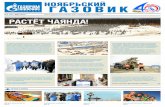 НОЯБРЬСКИЙ ГАЗОВИК - Noyabrsk266)_2017-5.pdf– В «Газпроме» этому вопросу уделяется боль-шое внимание, в частности,