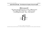 Brasil: 'Estrangeiros em Nosso Próprio País': Povos …...Esse documento reconhecia os muitos erros cometidos no passado e delineava uma estratégia clara para lidar com os conflitos