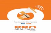 Propuesta Campaña - ProAraucania.comproaraucania.com/wp-content/uploads/2016/11/Brochure-ProArauca… · Propuesta Campaña. Resumen fuentes de tráfico portal ProAraucanía 722.089