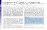 Host-induced gene silencing of cytochrome P450 lanosterol ... · targeted CYP51 sequences, as well as highly efﬁcient silencing of the fungal CYP51 genes. The high efﬁciency of