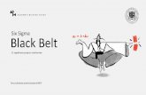 Six Sigma Black Belt...Poza realizacją projektów Six Sigma Green Belt realizuje też obowiązki wynikające z zajmowanego stanowiska. Działa lokalnie, rozwiązuje istotne problemy