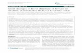 Small changes in bone structure of female a7 nicotinic … · 2017-04-06 · RESEARCH ARTICLE Open Access Small changes in bone structure of female α7 nicotinic acetylcholine receptor