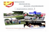 BULLETIN MUNICIPAL BOUIN PLUMOISON Septembre 2015 · 1 BULLETIN MUNICIPAL BOUIN–PLUMOISON Septembre 2015 14 juillet 2015 Lâcher de lanternes Découvrez toutes les infos sur Le