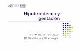 Hipotiroidismo y gestación · 2014-03-04 · hipotiroidismo gestacional, tiroiditis e hipotiroidismo postparto. La autoinmunidad tiroidea podría afectar la fertilidad, prematuridad