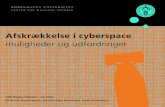 Afskrækkelse i cyberspace · 2020-07-03 · afskrækkelse i cyberspace. Det gør det ved at afdække 1) det traditionelle begreb om afskrækkelse, 2) cyberspaces natur og funktioner